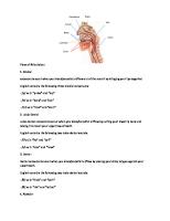 Phonology