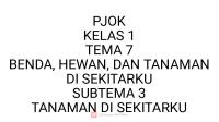 Pjok Kelas 1 Tema 7 Subtema 3