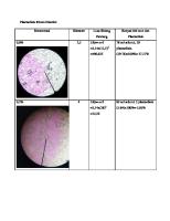 Plasmolisis Rhoeo Discolor [PDF]