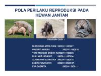 Pola Perilaku Reproduksi Pada Hewan Jantan [PDF]