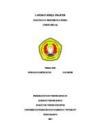 Practical Work Report [PDF]