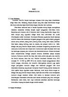 Praktikum II Maserasi C1 [PDF]