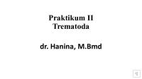 Praktikum Trematoda - PPSX