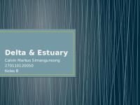 Presentasi Delta & Estuary [PDF]