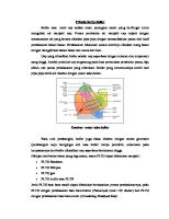 Prinsip Kerja Boiler [PDF]