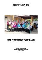 Profil PKM Pamulang 2014