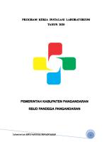 Program - Kerja - Lab 2020 RSUD