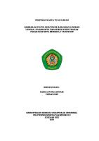 Proposal Karya Tulis Ilmiah Nadila 1 [PDF]