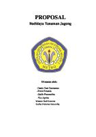 Proposal Tanaman Jagung