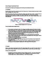 Proses Sintesis Protein