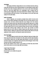 Pulp Capping Kirim Bahan [PDF]