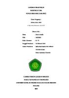 Pupuk Organik Cair [PDF]