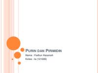 Purin Dan Pirimidin [PDF]