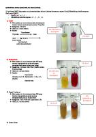 Rangkuman Uji Bakteri [PDF]