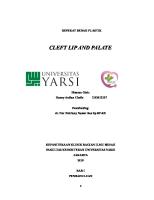 Referat Cleft Lip and Palate [PDF]