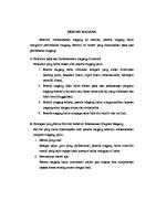 Resume Magang [PDF]