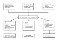 Revisi Pathway Oksigenasi