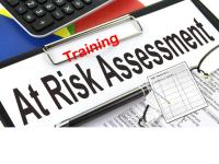 Risk Assessment PDF