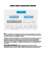 Samsung Company Organizational Structure [PDF]