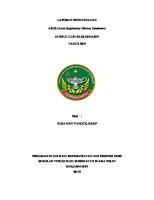 Sap Resiko Hamil Usia Dini [PDF]