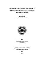 SEJARAH DAN MANAJEMEN PENANGKARAN BURUNG JALAK BALI (Leucopsar Rothschildi) DI PULAU NUSA PENIDA [PDF]