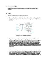 Sel [PDF]