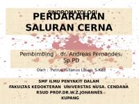 SINDROMATOLOGI Perdarahan Saluran Cerna Charly Fix