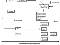 Skema Patofisiologi DBD