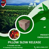 Slow Release - Product Knowledge - PT BEST