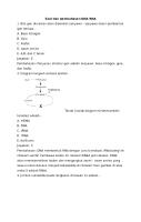 Soal Dan Pembahasan DNA RNA [PDF]