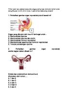 Soal Sistem Rep Manusia