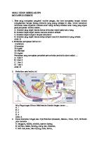 Soal Us Ips 2021