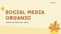 Social Media Organic Guide