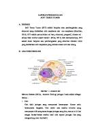 Soft Tissue Tumor [PDF]