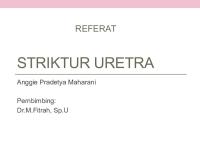 Striktur Uretra [PDF]