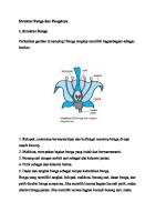 Struktur Bunga Dan Fungsinya