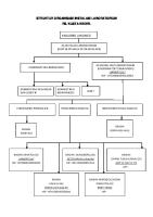 Struktur Organisasi Instalasi Laboratorium RSM Revisi