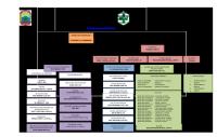 Struktur Organisasi Puskesmas Sidomulyo