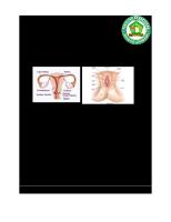 Students's Guide Obgyn