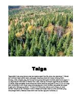 Taiga