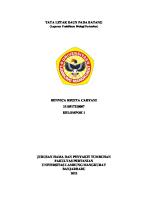 Tata Letak Daun Pada Batang - 2110517320007 - Benvica Regita Cahyani - HPT