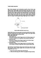 Teknik Memipet Yang Benar