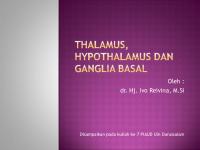 Thalamus, Hypothalamus Dan Ganglia Basal