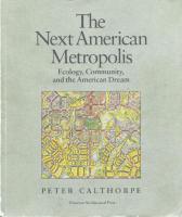 The Next American Metropolis