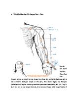 Titik Meridian Tay Yin Tangan Paru [PDF]