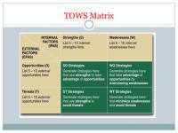 TOWS and BCG Matrix