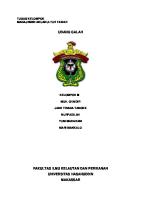 Tugas Kelompok Udang Galah [PDF]