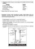 Tus Deneme Sınavı (Tusdata 2015-2. Deneme Sınavı) [Deneme Sınavı] [PDF]