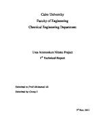 Urea Process (Technical Report)