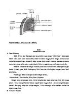 Water Seal Drainage